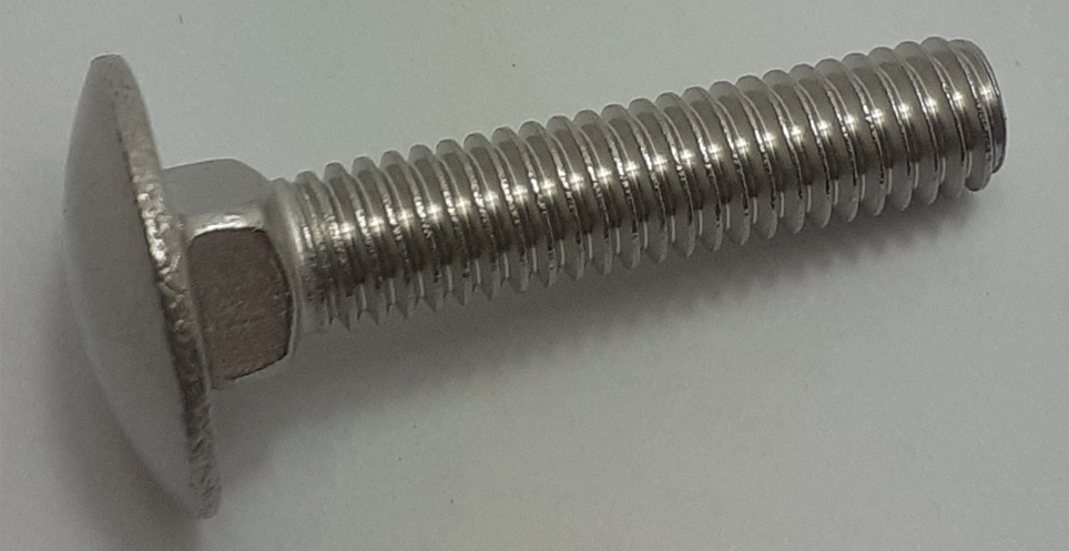 Stainless Steel Carriage Bolt